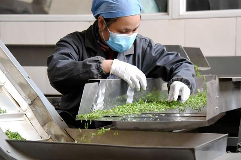 生產(chǎn)設(shè)備