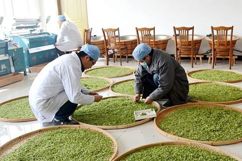 生產(chǎn)設(shè)備